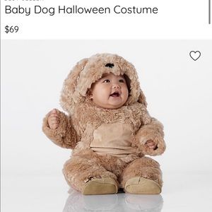 Pottery Barn Kids Dog Halloween Costume